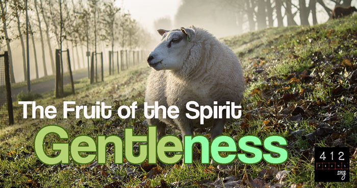 what-is-gentleness-as-a-fruit-of-the-spirit-412teens