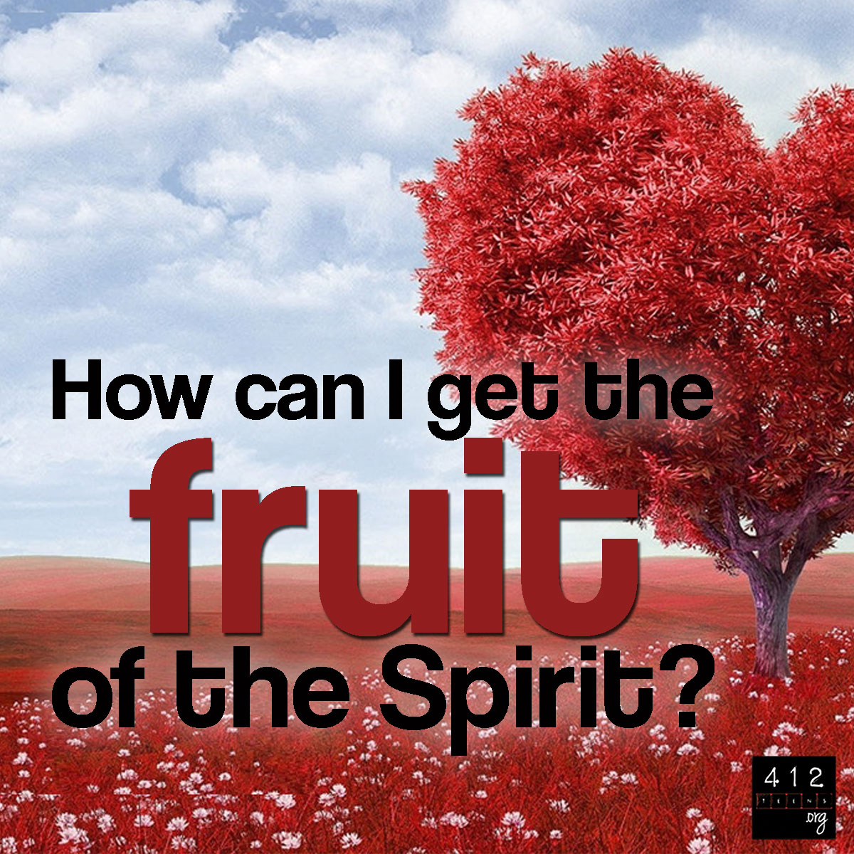 What is the fruit of the Holy Spirit?