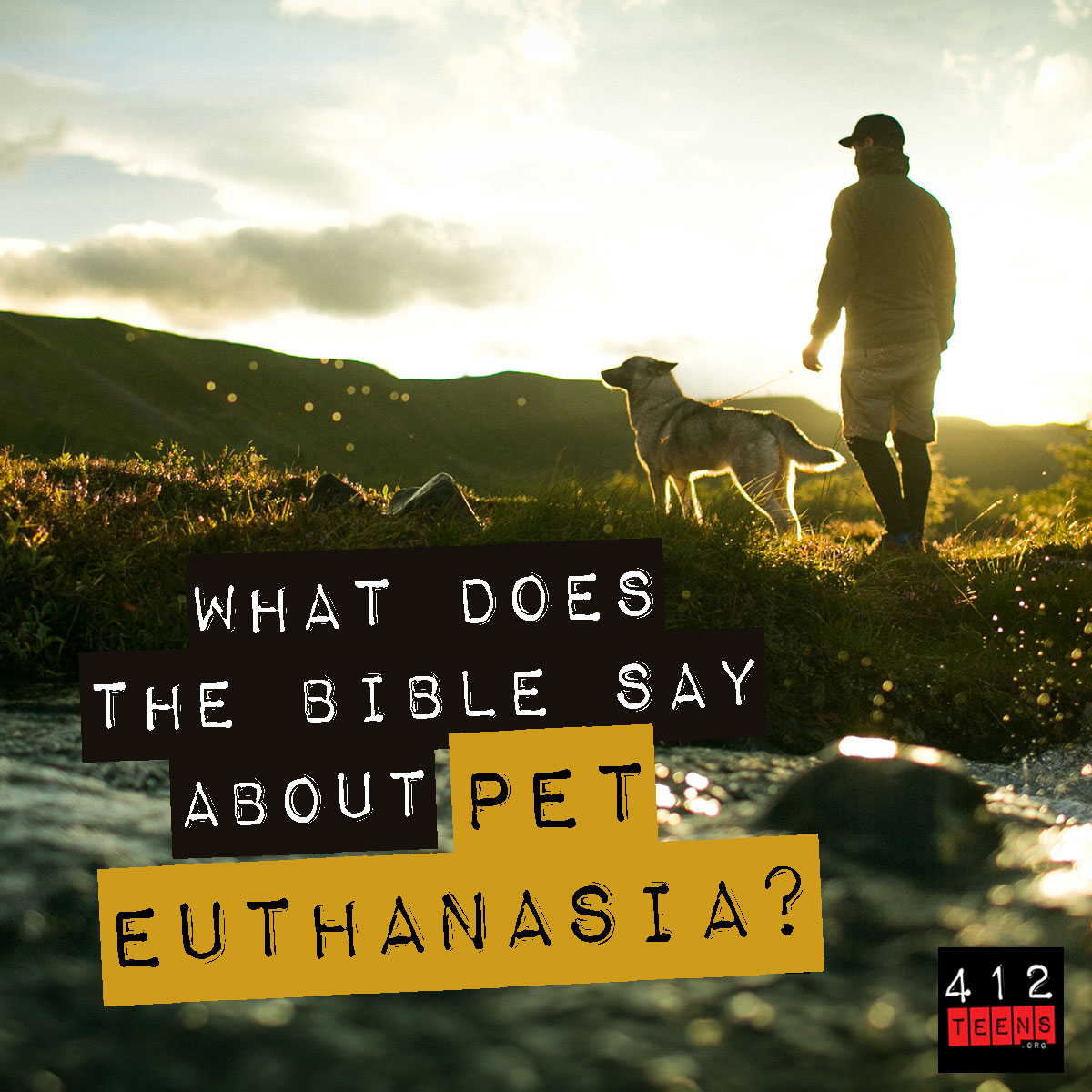 What does the Bible say about pet euthanasia?